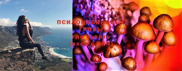 ECSTASY Абинск