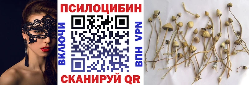 Галлюциногенные грибы MAGIC MUSHROOMS  где продают наркотики  Щёкино 
